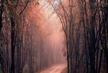 开云体育入口-印尼队横扫日本队，黄鸭组合高光表现