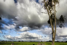 开云体育入口-印尼队横扫日本队，黄鸭组合高光表现