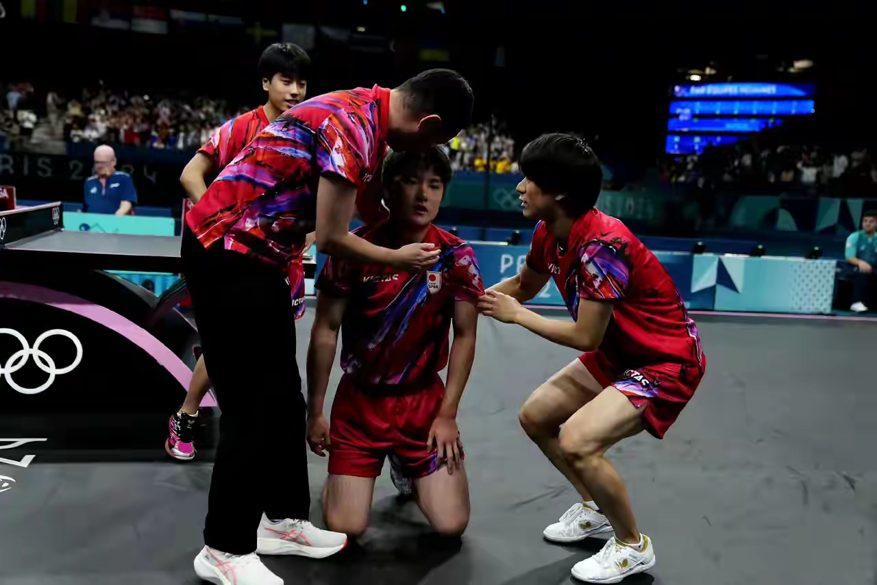 瑞典队完胜波兰队，张本智和高光表现