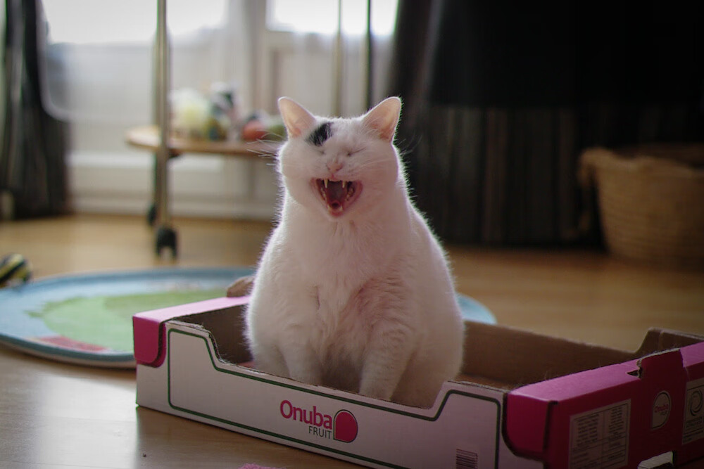 开云体育中国-解码马刺vs步行者，2026世界杯的锡安式接管预演