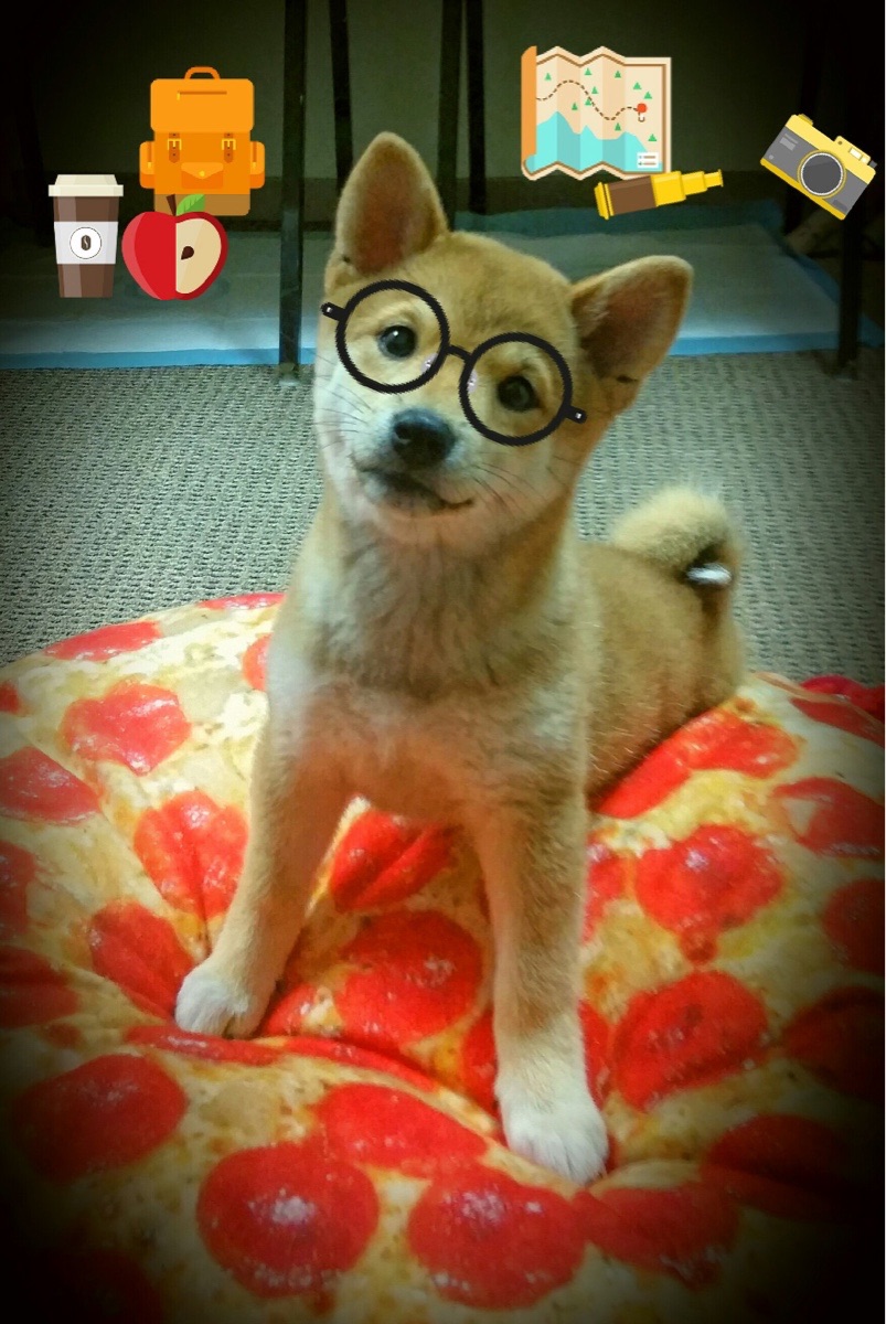 当丹佛高原遇上天山脚下,约基奇评分拉满之夜,尼克斯跨越半球客场击败新疆