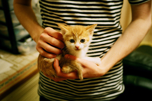 冰与火的对决,欧文末节19分冰封狼群,76人淬炼冠军相