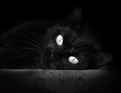 跨越赛场的统治力，从米切尔的末节风暴到哈登的奥运接管时刻