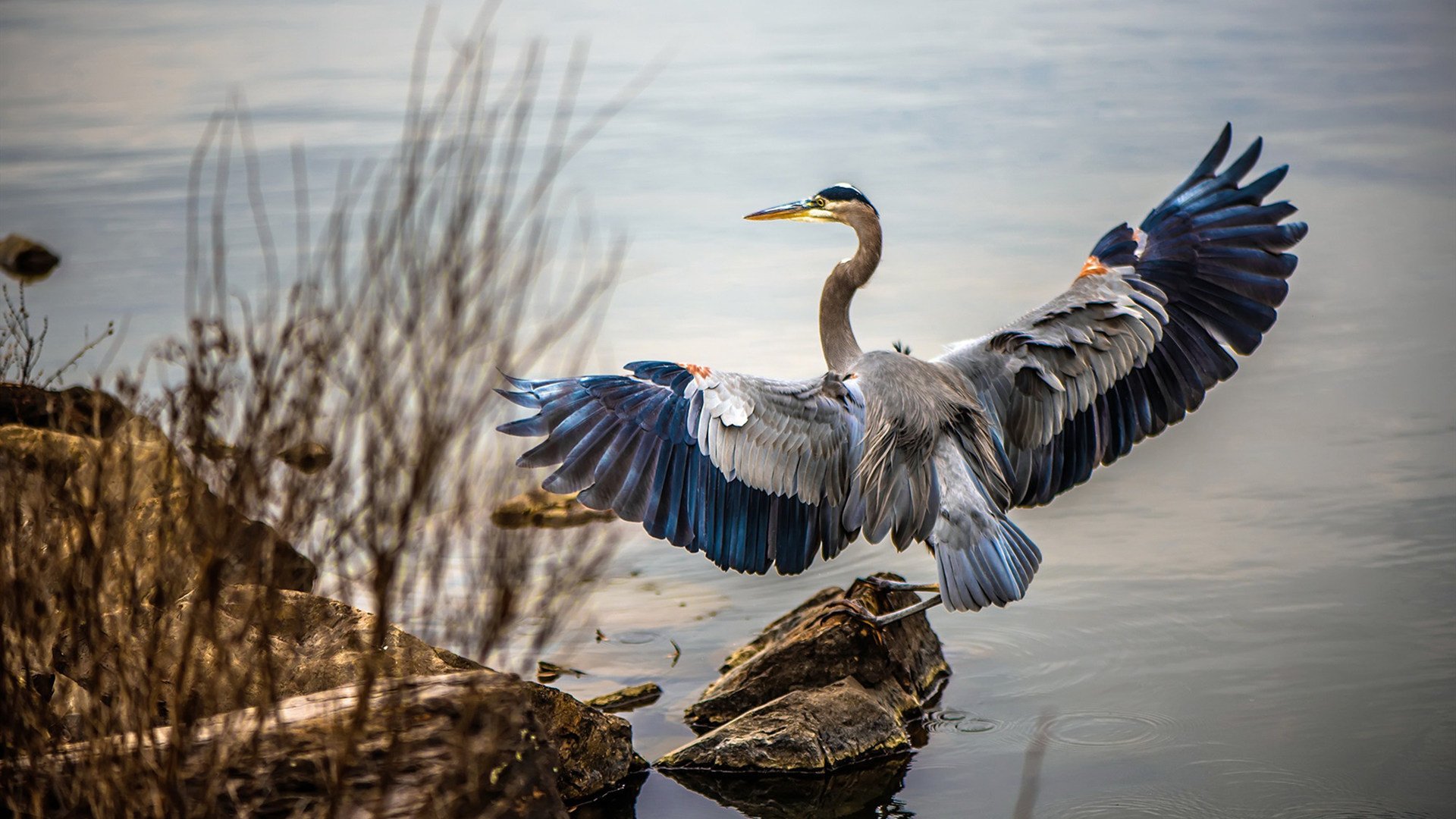当恩比德成为棋盘上的国王，马刺对阵骑士一役中的攻防绝对统治
