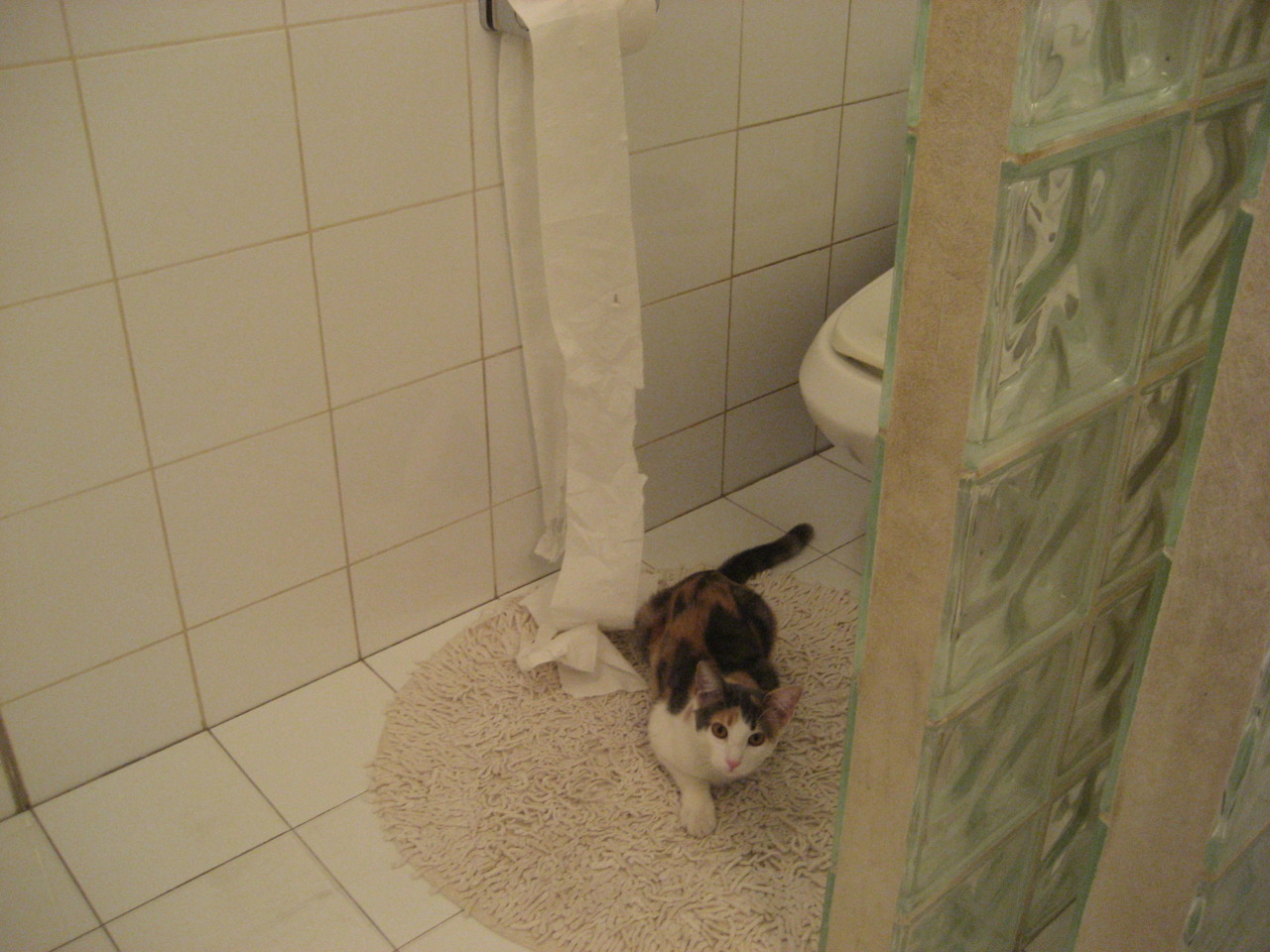 跨洲烽火,塞维利亚的炼金术与阿兹特克后裔的鏖战,赖斯如何成为风暴之眼?