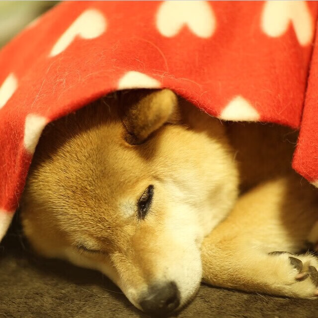 用詹姆斯的方式终结悬念,英超争冠夜,谁掌控了命运的棋盘?