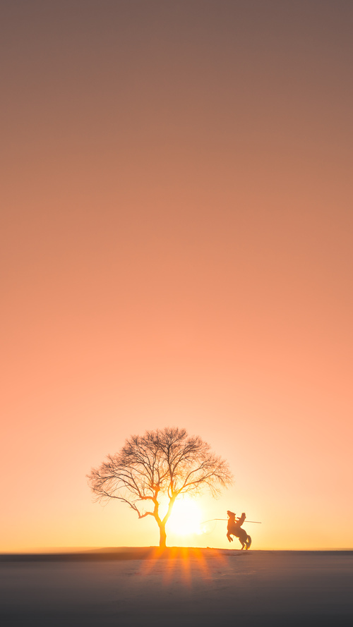 掌控之手，米切尔的掌纹如何烙在太阳与猛龙的战局之上