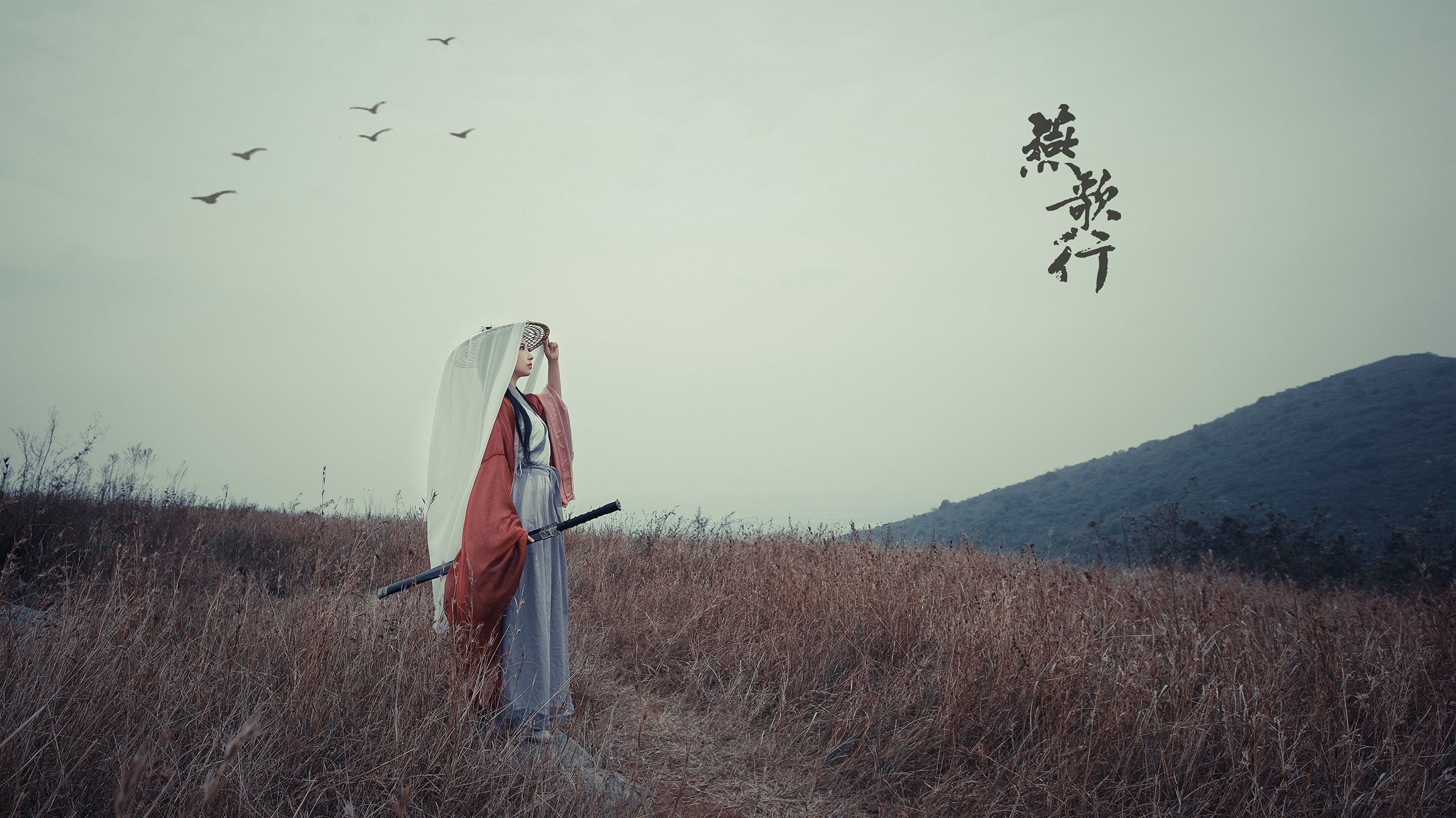 国王对阵辽宁队，约基奇用一场球商风暴，证明了篮球最坚固的壁垒