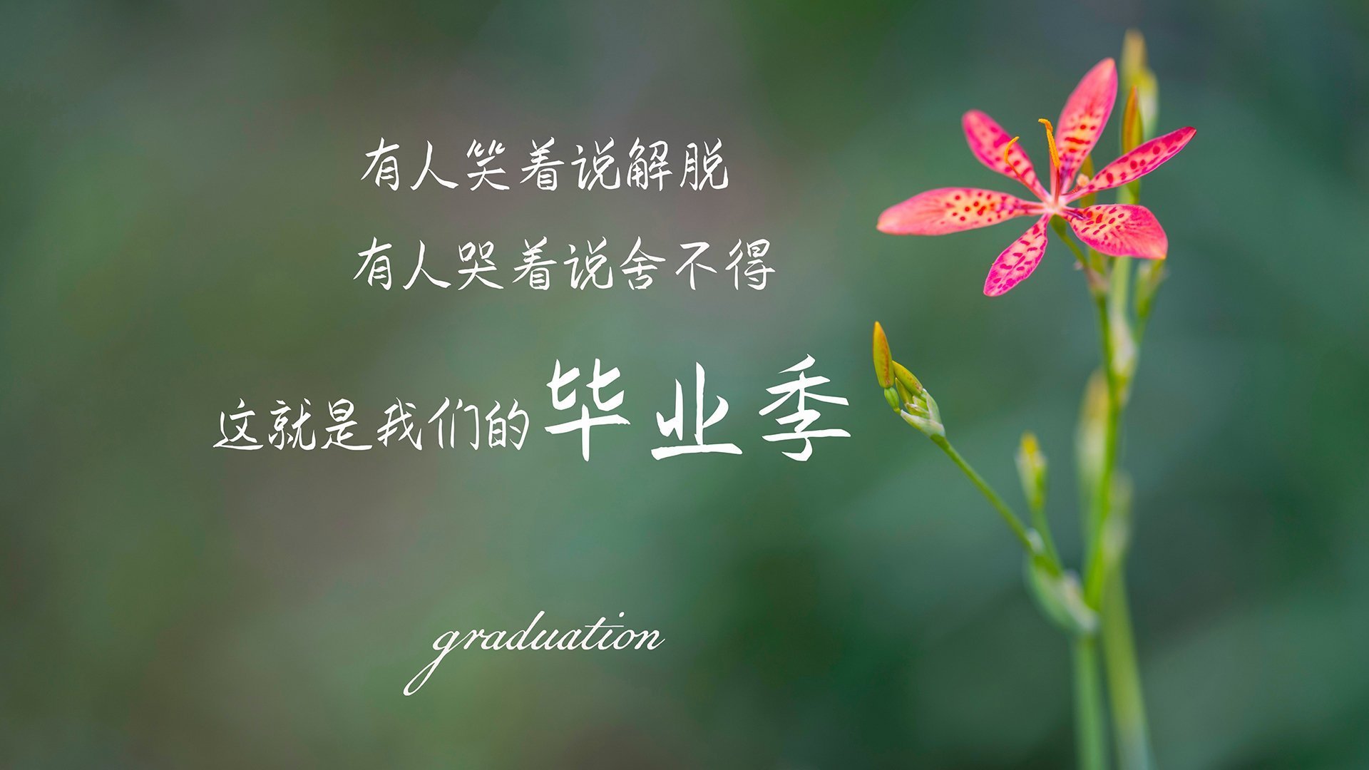 绝杀奇迹！公牛加时逆转广东，新星杰伦格林一战封神