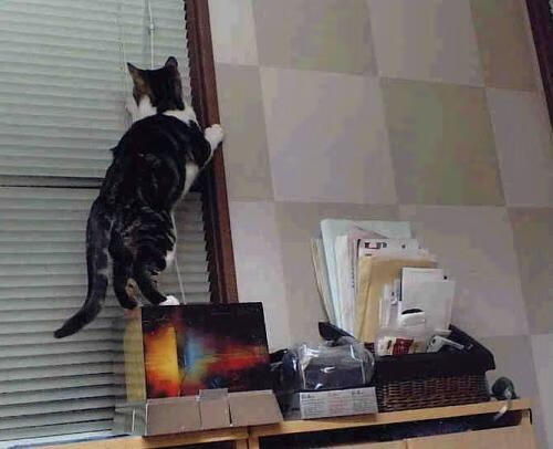 开云sport-鏖战中的主宰，奥利维耶在智利对阵土耳其的年度焦点战中接管比赛