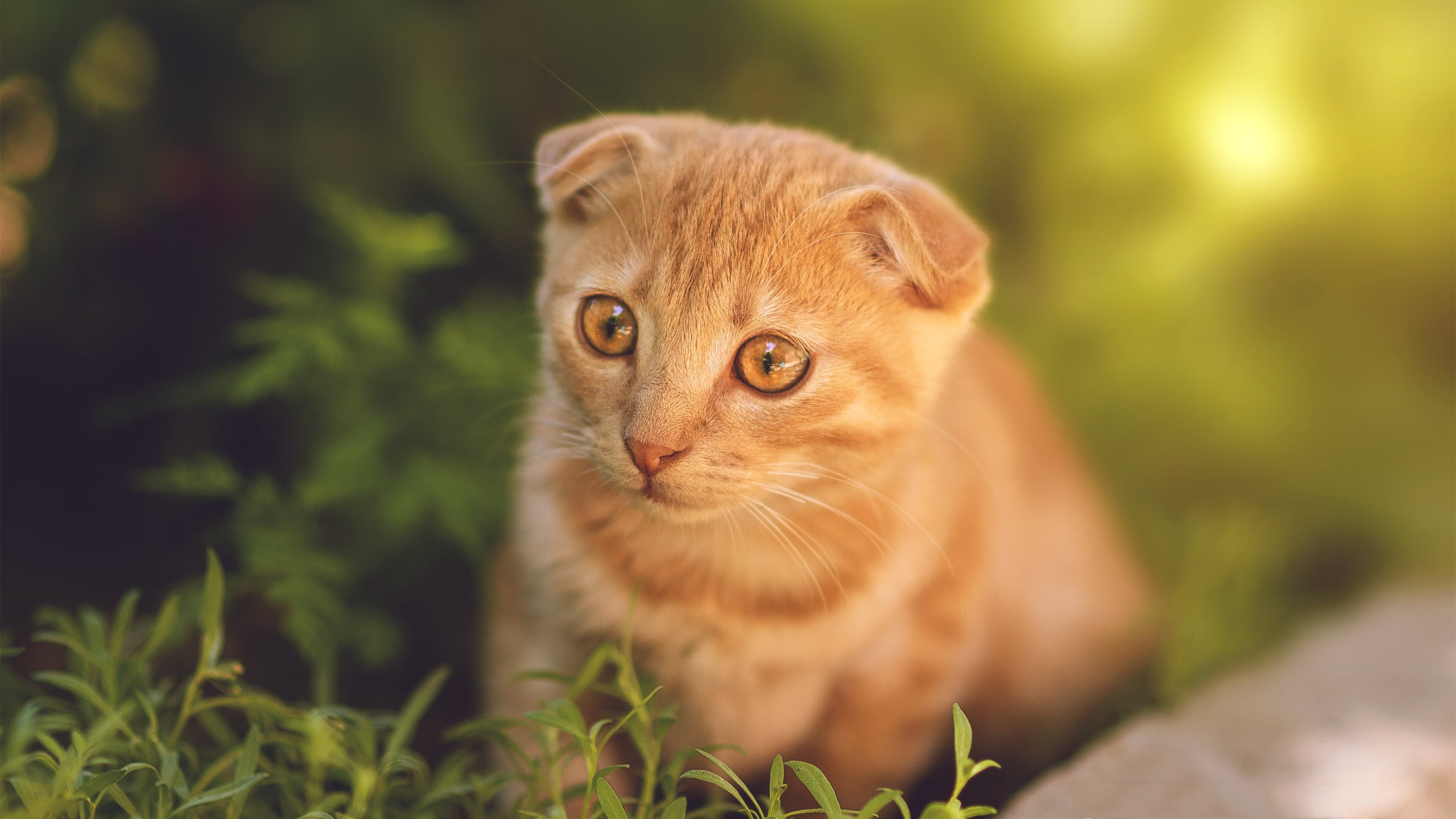 平行世界的关键节点，当新疆队遭遇76人，布克用连续得分改写剧本