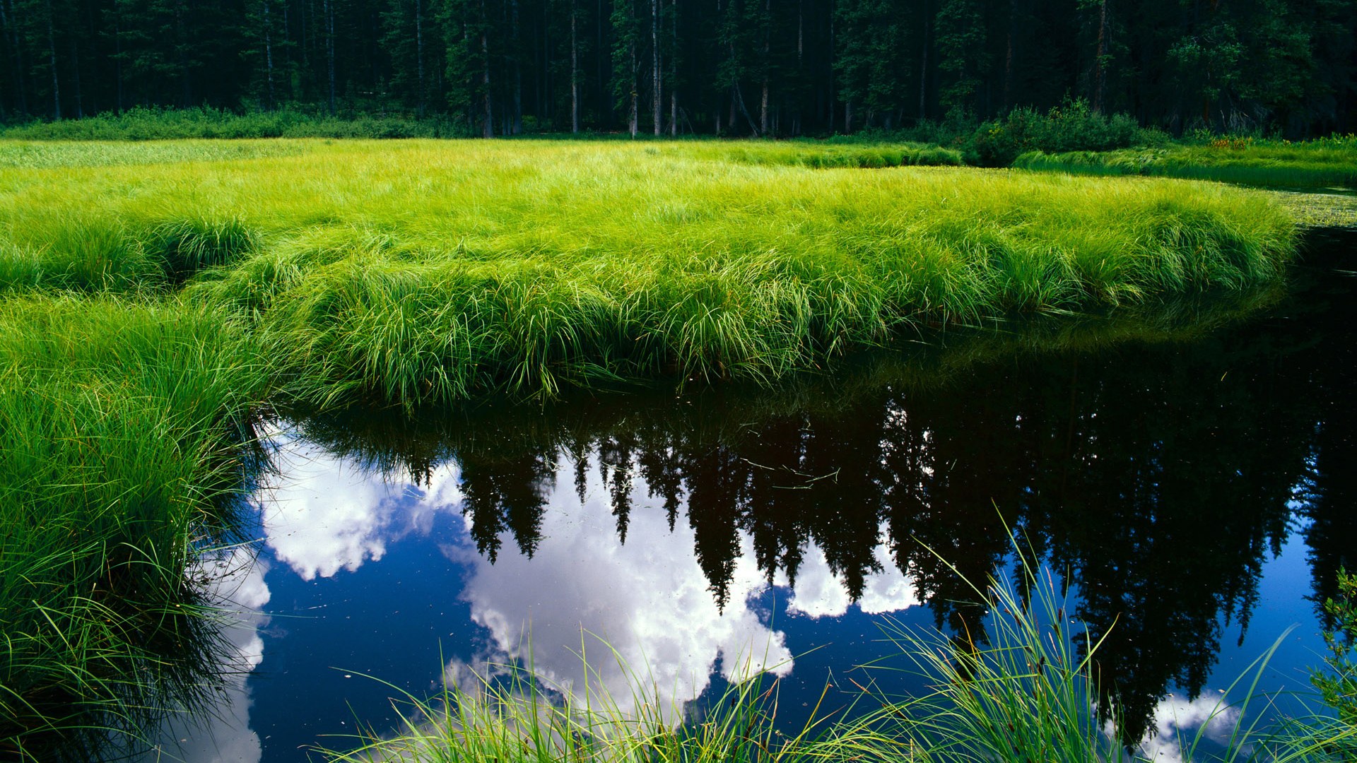 永恒十秒，戈麦斯的2026世界杯之夜，与改写命运的一击