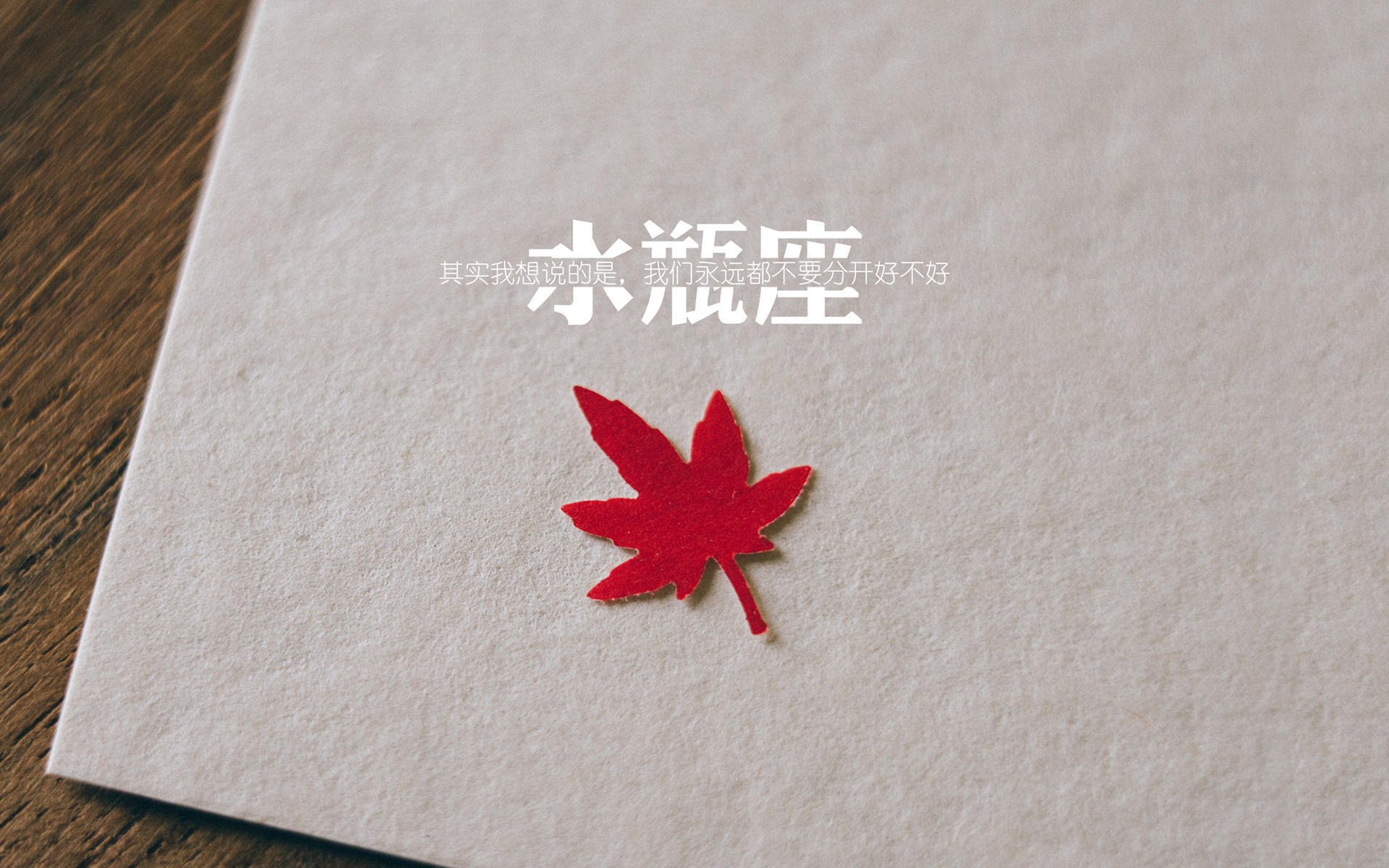双重光芒，记2026世界杯D组那场穿透历史的强强对话