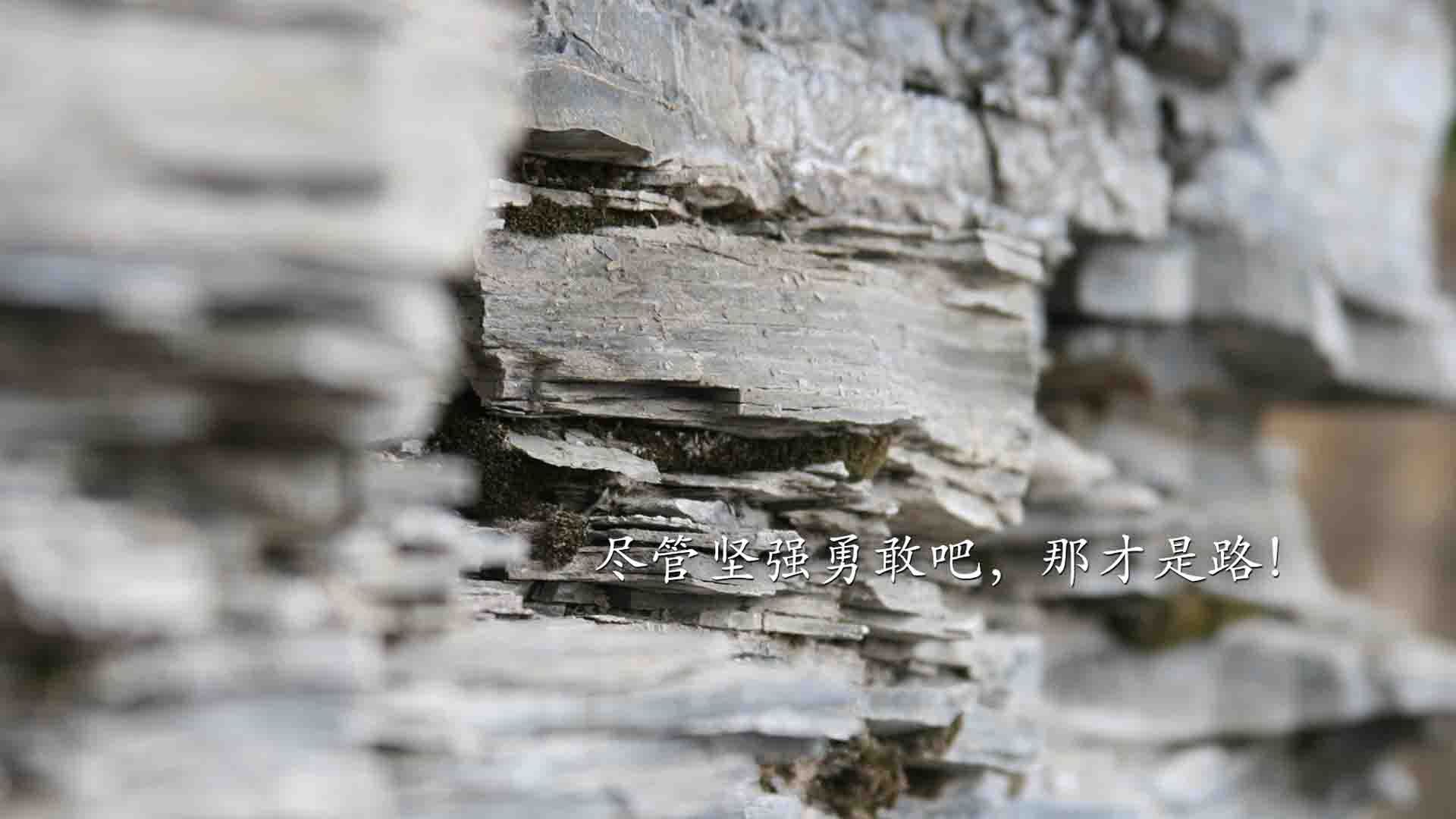 桑巴之舞与北欧冰锋,2026世界杯,齐耶赫一剑封喉,巴西靠稳定险胜挪威