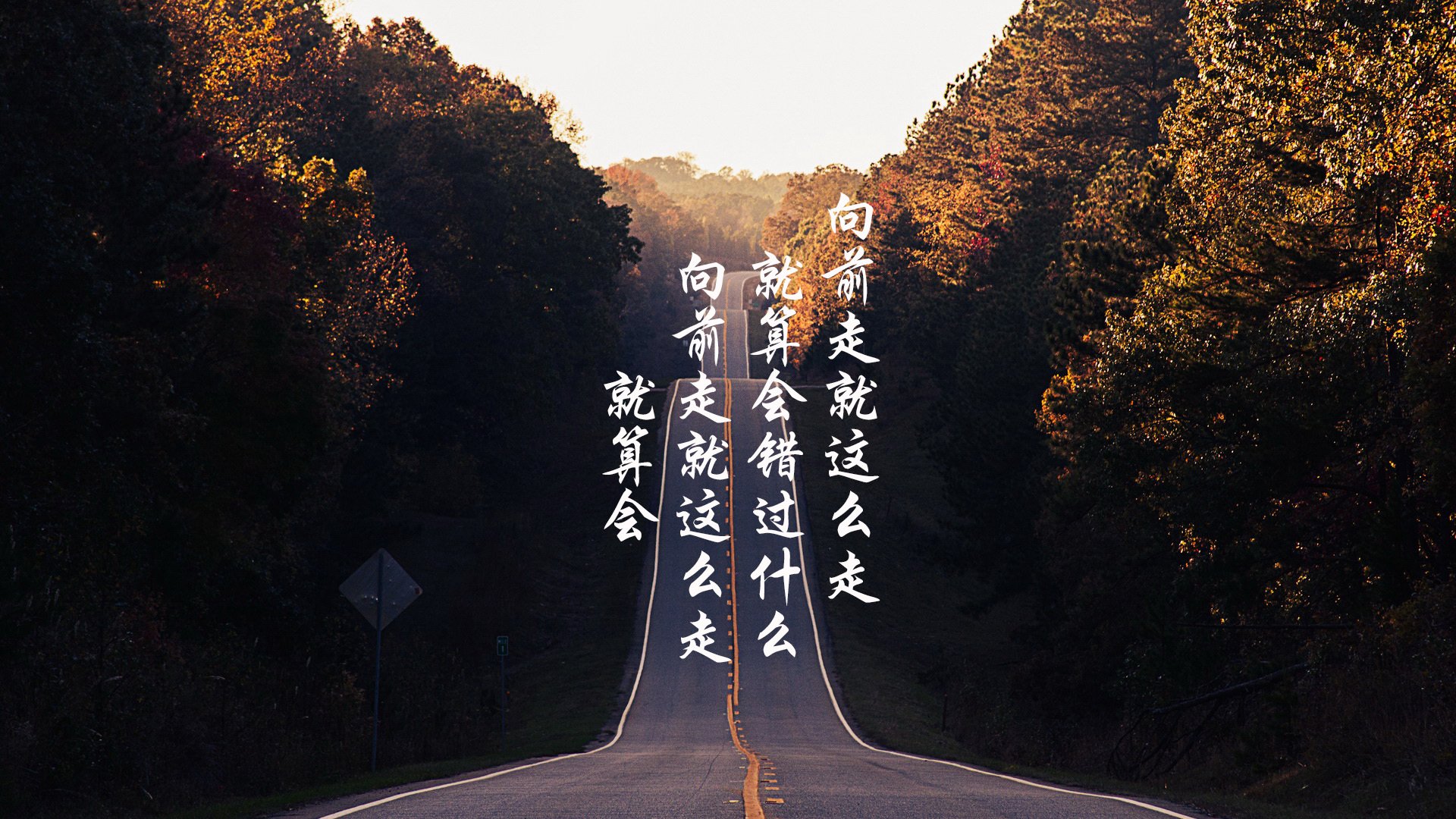 铁幕下的孤勇,2026世界杯F组,匈牙利用坎塞洛时刻与美国演绎唯一性的生死存亡