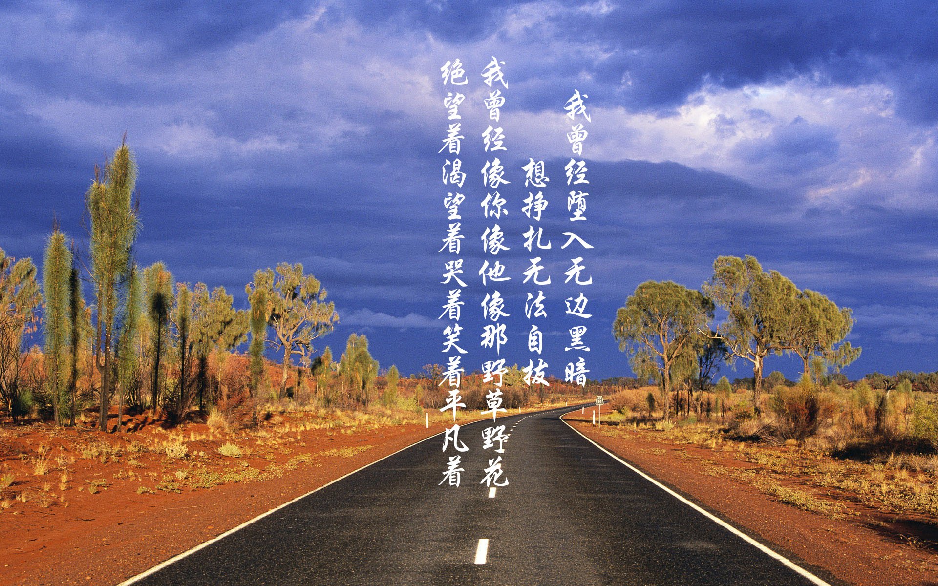 开云体育APP下载-双核驱动下的复仇，德布劳内与葡萄牙黄金二代的加冕礼—2026世界杯D组焦点战，五球风暴摧毁坚韧太极虎