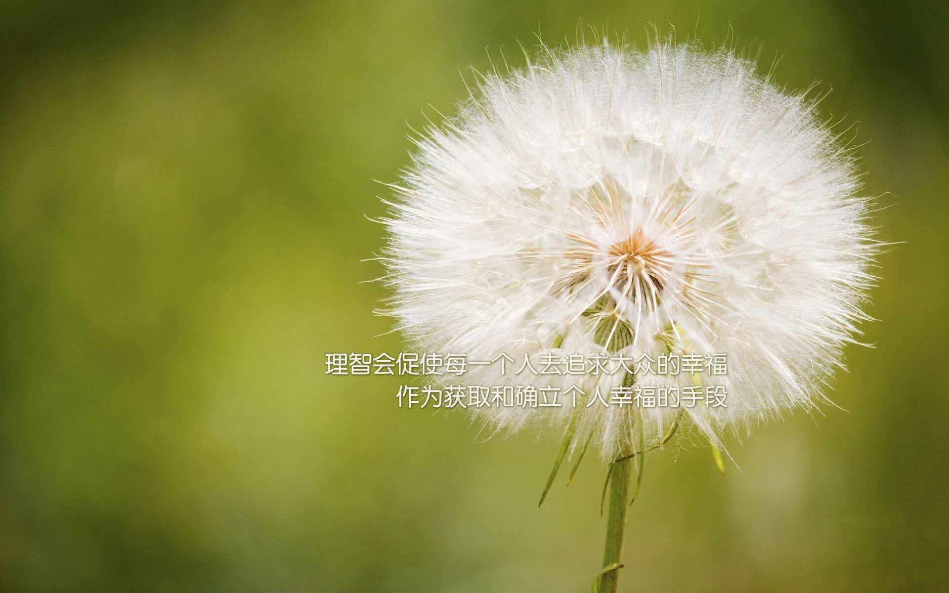 2026世界杯A组，C罗南美首秀封神，智利霸主碾压哥斯达黎加