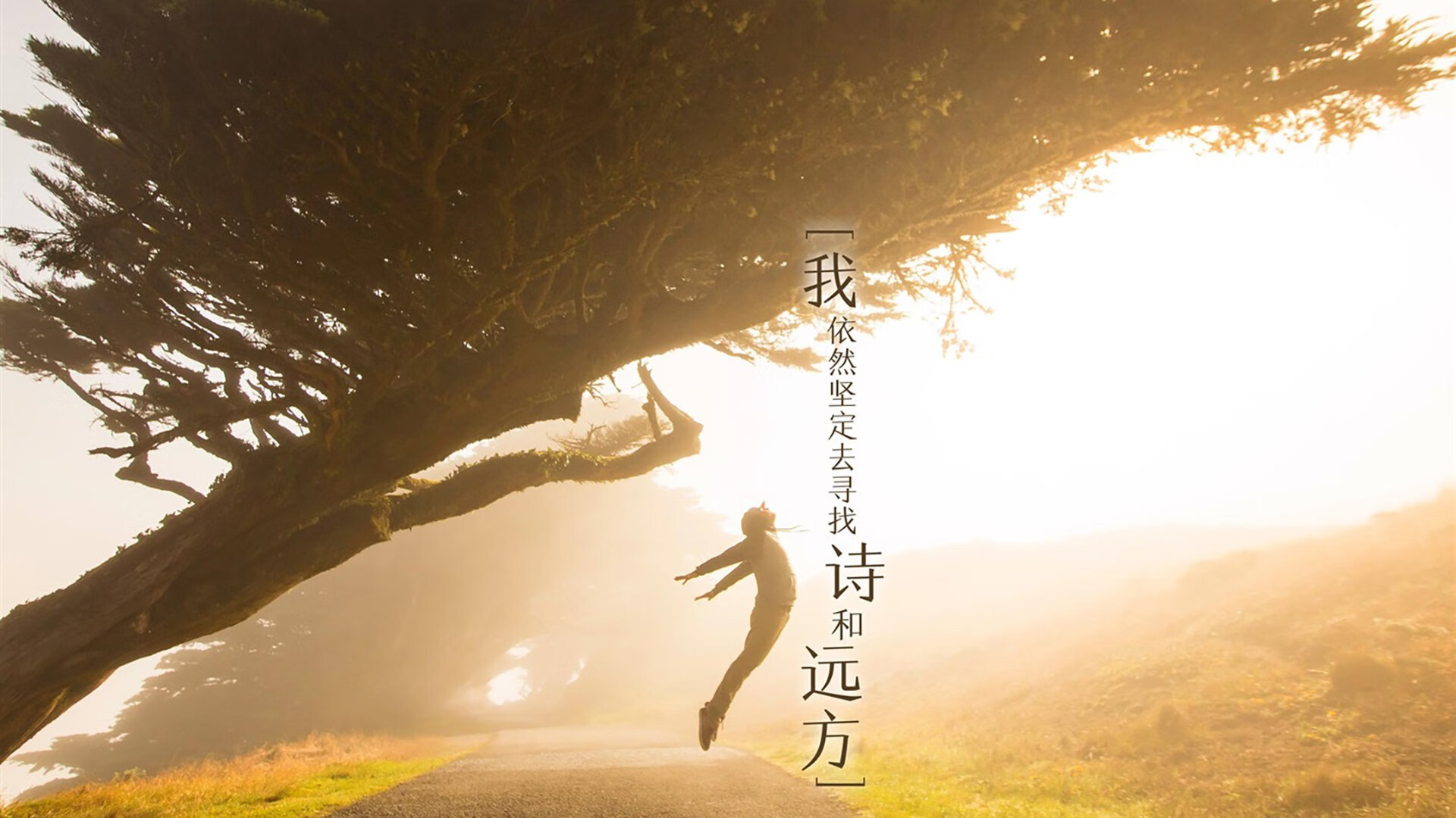 潮汐的悖论,范戴克一剑封喉,摩洛哥的压制为何沦为斯洛伐克节奏的祭品